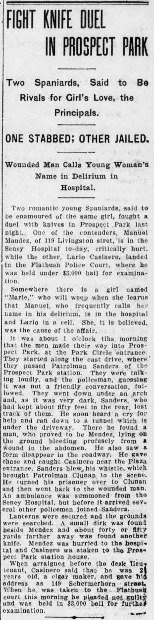 The_Brooklyn_Daily_Eagle_Wed__Dec_14__1910_
